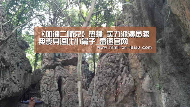 《加油二师兄》热播 实力派演员蒋典变身逗比小舅子_雷速官网(图2) 雷速