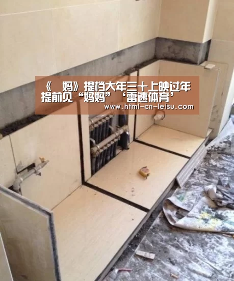雷速体育网页版