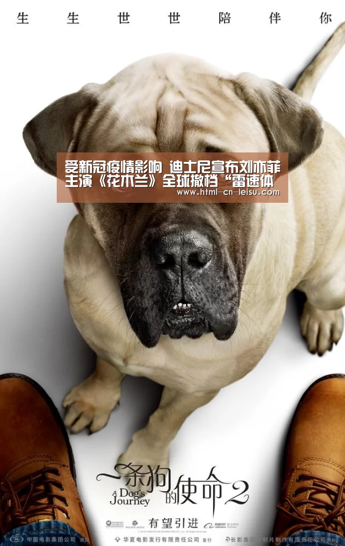 受新冠疫情影响 迪士尼宣布刘亦菲主演《花木兰》全球撤档“雷速体育”(图2) 雷速体育网页版