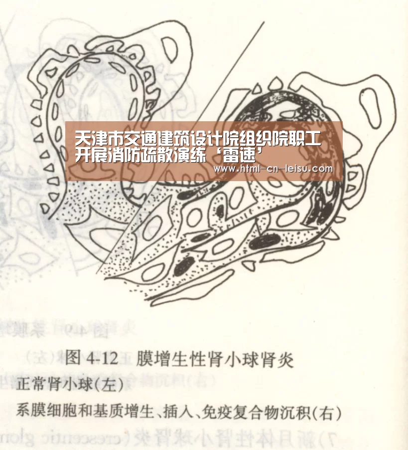 雷速官网