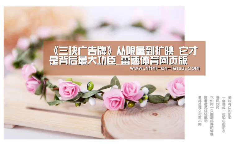 雷速体育网页版