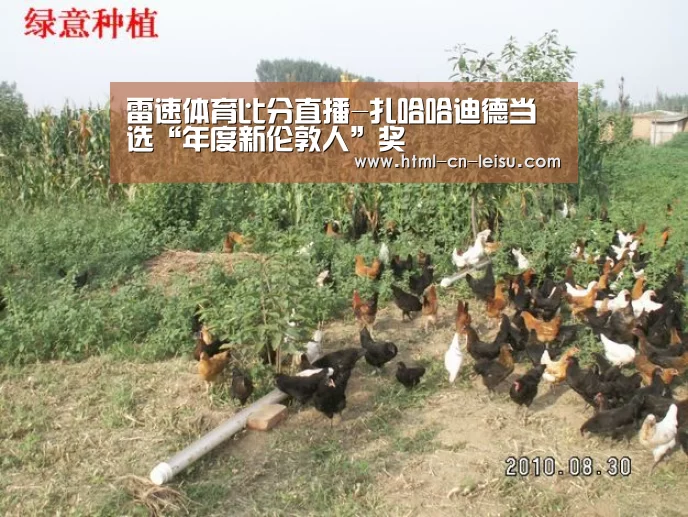 雷速体育比分直播-扎哈哈迪德当选“年度新伦敦人”奖(图3) 雷速官网
