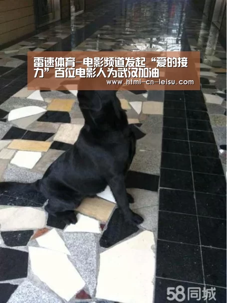 雷速体育-电影频道发起“爱的接力”百位电影人为武汉加油(图1) 雷速官网