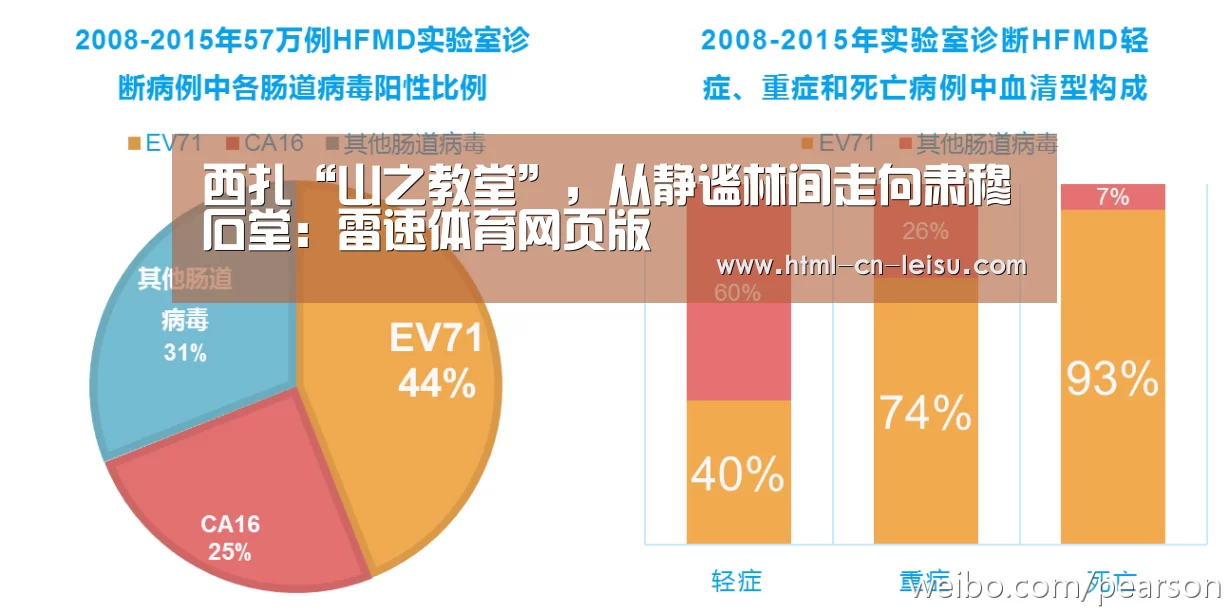 雷速体育比分直播