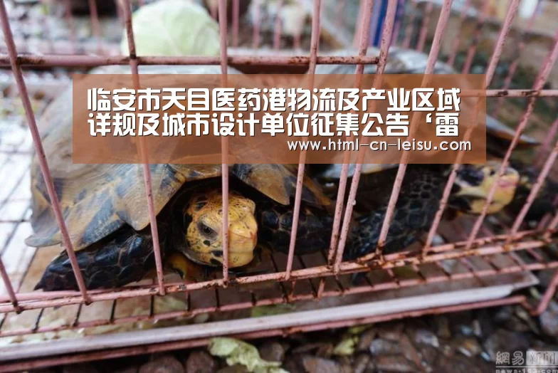 雷速体育网页端