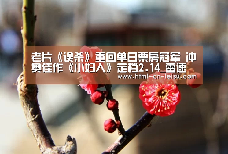雷速体育