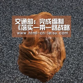 交通部:完成编制《落实一带一路战略规划实施方案》-雷速官网(图3) 雷速体育比分直播